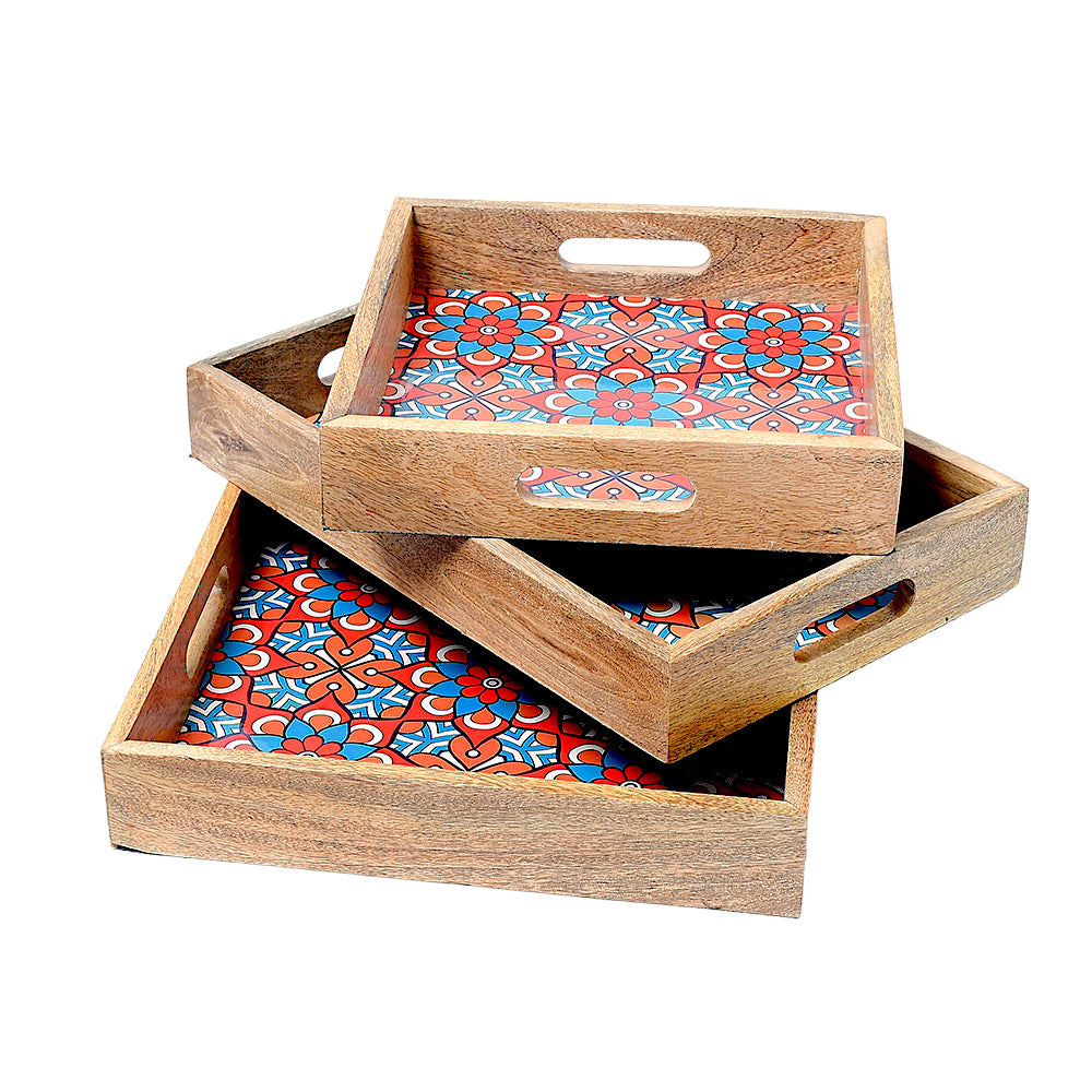 Mango Homes Mango Wood Handle Tray